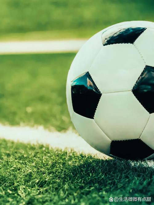 数据研究分析场景